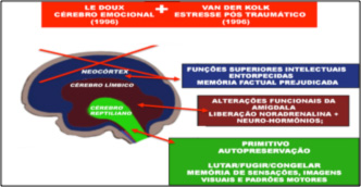 O Cérebro Visceral